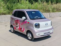 FAW Pony 222km - ფოტო 3