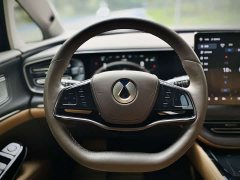 Denza D9 2022 DM-i 970 AWD Flagship - ფოტო 11
