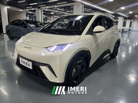 2023 BYD Seagull Flying Edition - ავტომობილი ჩინეთიდან