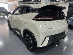 BYD Seagull Flying Edition - ფოტო 10