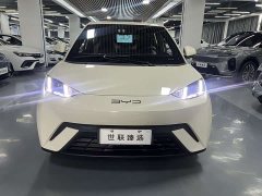 BYD Seagull Flying Edition - ფოტო 7