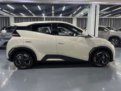 BYD Seagull Flying Edition - ფოტო 8