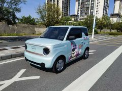 Geely Panda 2024 Panda Mini 200km Endurance Edition - ფოტო 1