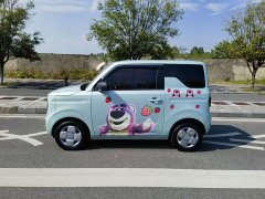 Geely Panda 2024 Panda Mini 200km Endurance Edition - ფოტო 3