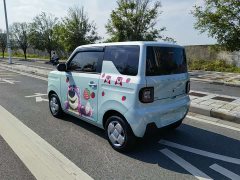 Geely Panda 2024 Panda Mini 200km Endurance Edition - ფოტო 4