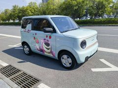 Geely Panda 2024 Panda Mini 200km Endurance Edition - ფოტო 7