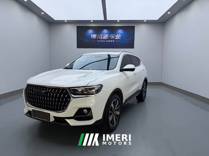 Haval H6 National Trend Edition 1.5T Automatic Champion Version