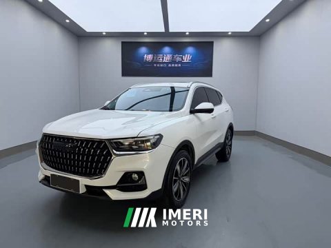 2023 Haval H6 National Trend Edition 1.5T Automatic Champion Version - ავტომობილი ჩინეთიდან