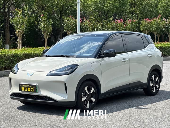 Wuling Binguo PLUS 2024 510km 5-Seater - ავტომობილი ჩინეთიდან