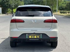Wuling Binguo PLUS 2024 510km 5-Seater - ფოტო 13