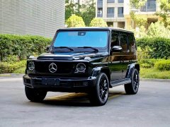 Mercedes-Benz G-Class G 350 - photo 1