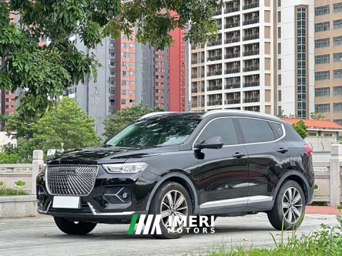 2021 Haval H6 1.5T Automatic Champion Edition - ავტომობილი ჩინეთიდან