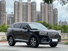 Haval H6 1.5T Automatic Champion Edition - фото 3