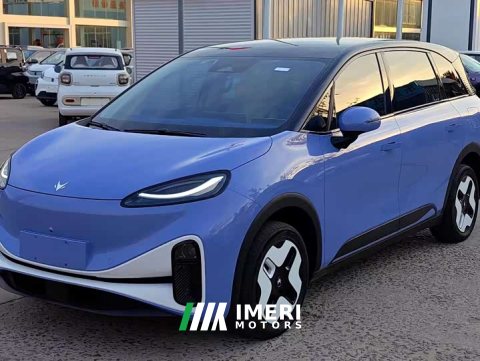 2024 Arcfox Koala 2023 Family Edition - ავტომობილი ჩინეთიდან