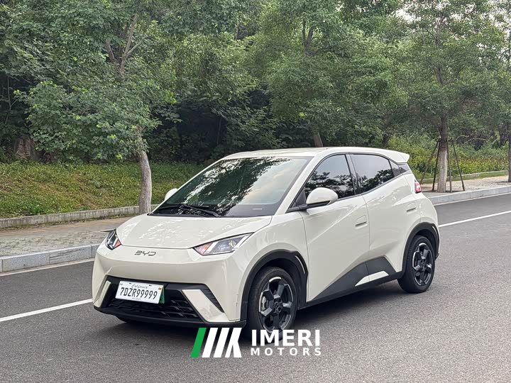 BYD Seagull Glory Edition 305km Freedom Version - ავტომობილი ჩინეთიდან