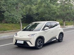 BYD Seagull Glory Edition 305km Freedom Version - ფოტო 1