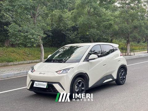 2024 BYD Seagull Glory Edition 305km Freedom Version - ავტომობილი ჩინეთიდან