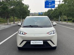 BYD Seagull Glory Edition 305km Freedom Version - ფოტო 2