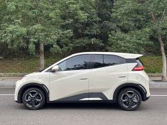 BYD Seagull Glory Edition 305km Freedom Version - ფოტო 4