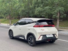 BYD Seagull Glory Edition 305km Freedom Version - ფოტო 5