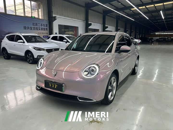 ORA Good Cat 400km Standard Range Venus Edition Ternary Lithium Battery
