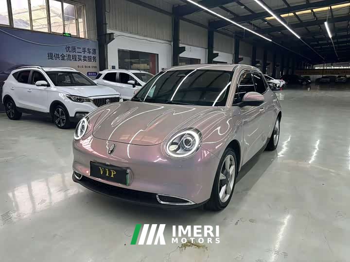 ORA Good Cat 400km Standard Range Venus Edition Ternary Lithium Battery