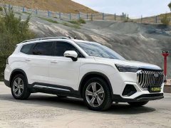 Geely Haoyue L 2.0T DCT Luxury - ფოტო 3