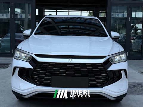 2024 BYD Song Pro New Energy 2023 Champion Edition DM-i 110KM Excellence - ავტომობილი ჩინეთიდან