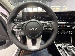 Kia Situs 1.5L CVT Luxury - ფოტო 13