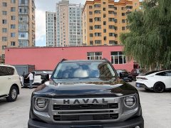 Great Wall Haval Big Dog Dachshund 1.5T DCT Border Collie Edition - ფოტო 2