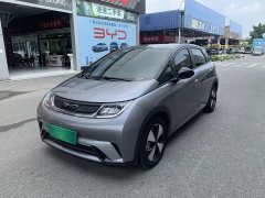 BYD Dolphin 2023 420km Freedom Edition - ფოტო 1
