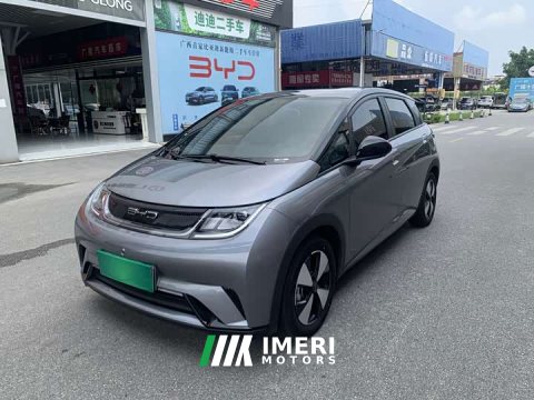 2024 BYD Dolphin 2023 420km Freedom Edition - ავტომობილი ჩინეთიდან