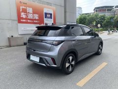 BYD Dolphin 2023 420km Freedom Edition - ფოტო 4