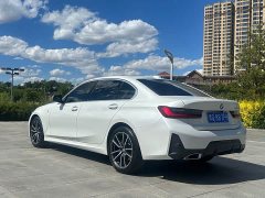 BMW 3 Series 320Li M Sport Package - ფოტო 6