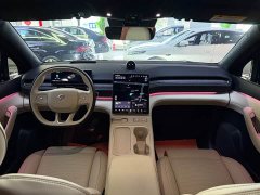NIO ES6 2024 75kWh - ფოტო 8