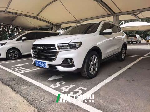 2022 Haval H6 National Trend 1.5T Automatic Champion Edition