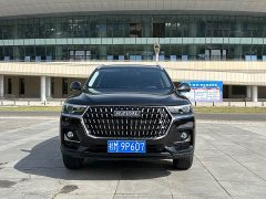 Haval H6 2023 National Trend Edition 1.5T Automatic Urban Version - ფოტო 2