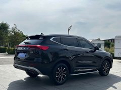 Haval H6 2023 National Trend Edition 1.5T Automatic Urban Version - ფოტო 5