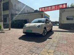 ORA Good Cat 400km Standard Range Luxury Lithium Iron Phosphate - ფოტო 1