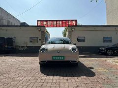 ORA Good Cat 400km Standard Range Luxury Lithium Iron Phosphate - ფოტო 2