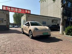 ORA Good Cat 400km Standard Range Luxury Lithium Iron Phosphate - ფოტო 3