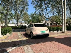 ORA Good Cat 400km Standard Range Luxury Lithium Iron Phosphate - ფოტო 7