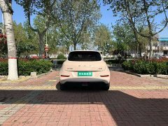 ORA Good Cat 400km Standard Range Luxury Lithium Iron Phosphate - ფოტო 8