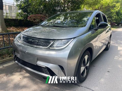 2023 BYD Dolphin 420km Freedom Edition - ავტომობილი ჩინეთიდან