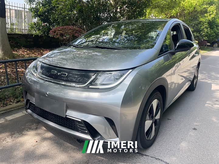 BYD Dolphin 420km Freedom Edition