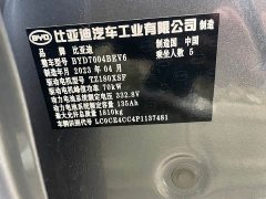 BYD Dolphin 420km Freedom Edition - ფოტო 14