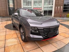 Jetour Jietu Dasheng 2023 1.5T DCT Star Radiance PRO - ფოტო 3