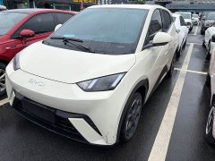 BYD Seagull Glory Edition 305km Freedom Version - ფოტო 1