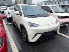 BYD Seagull Glory Edition 305km Freedom Version - ფოტო 3