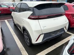 BYD Seagull Glory Edition 305km Freedom Version - ფოტო 4